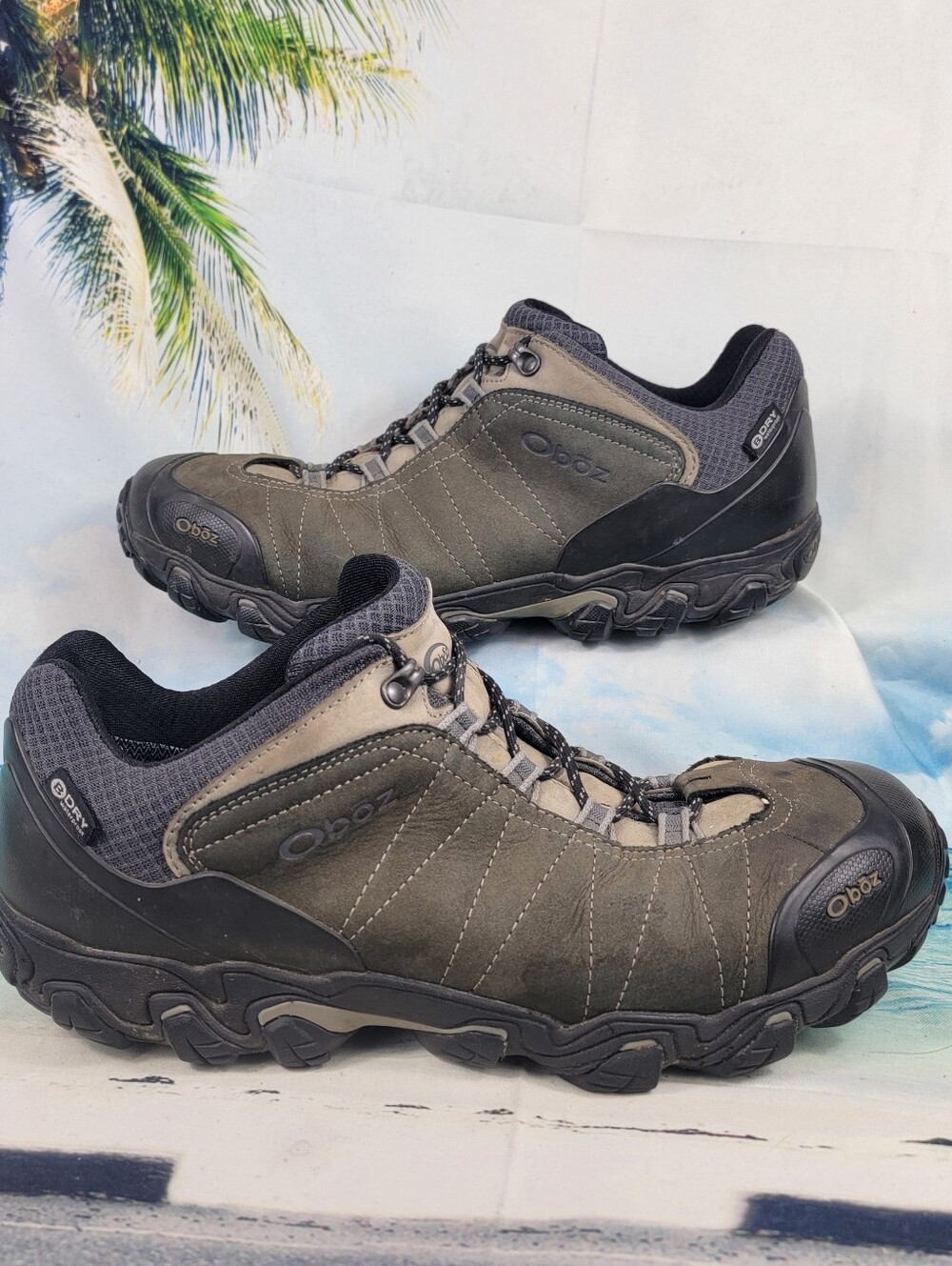 OBOZ Bridger Low BDRY Waterproof Mens 14 Wide